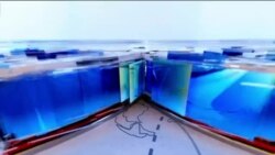 时事大家谈：中国通缩加剧，两会改善民生口惠而实不至？两会首提开放互联网，中国会放松网络管控？