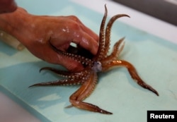 A chef prepares a flying squid to make sashimi at a seafood restaurant in Tokyo, Japan, Sept. 27, 2018.