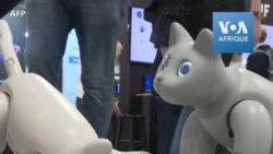 Des robots-chats au Salon électronique de Las Vegas