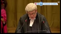 EUA propôs designar a borboleta monarca como uma espécie ameaçada