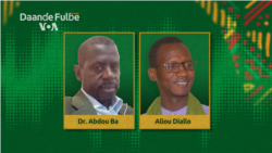 Lurral CEDEAO-AES: Holko haanuɗon faamude e mum (rogere 1)