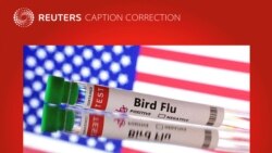 အမေရိကန်မှာ ကြက်ငှက်တုပ်ကွေး အရေး ဖြေရှင်းရေး ဒေါ်လာ ၁ ဘီလျံသုံးမယ် 