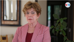 La diputada opositora Azucena Castillo denuncia que las leyes aprobadas desde el parlamento también han golpeado la inversión extranjera. Foto Houston Castillo, VOA.