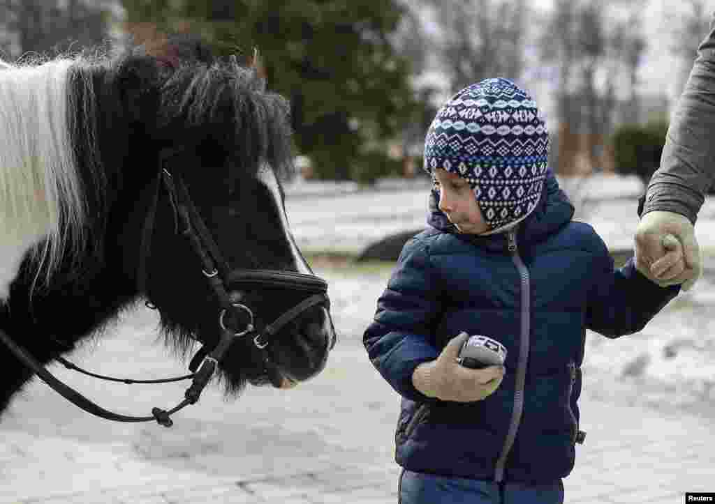 A boy looks at a pony as he walks in a park in central Kyiv, Ukraine.