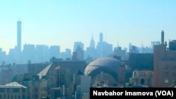 Nyu-York/Kolumbiya universiteti