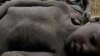 A four-year-old Sudanese boy lies on the ground after collapsing from hunger at a feeding centre in Rumbek, May 25, 2005. Thirteen people have died of hunger after crops failed in Eastern Equatoria state. 