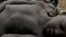 A four-year-old Sudanese boy lies on the ground after collapsing from hunger at a feeding centre in Rumbek, May 25, 2005. Thirteen people have died of hunger after crops failed in Eastern Equatoria state. 