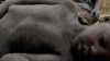 A four-year-old South Sudanese boy who collapsed from hunger lies on the ground at a feeding center run by Medecins Sans Frontieres in 2005. Eight years later, malnutrition is again stalking children in Northern Bahr el Ghazal state. (AP)