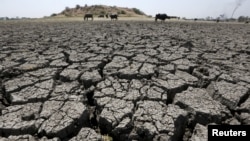 The World Banks says water insecurity, could force migration, spark conflict and and be a significant financial drag on regional governments.