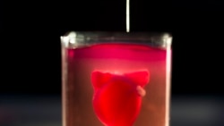 Quiz - Researchers in Israel Create First 3D-Printed Heart