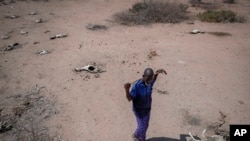 Herder Yusuf Abdullahi walks past the carcasses of his forty goats that died of hunger in Dertu, Wajir County, Kenya on Oct. 24, 2021. (AP Photo/Brian Inganga, File)