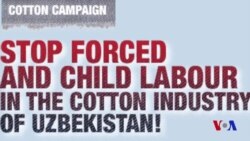 Cotton Campaign: Ending forced labor is a litmus test for Uzbekistan