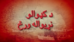بي بي شیرینه – په ټیلې ویژن