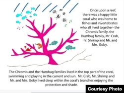 A page from one of marine biologist Danielle Dixson's children's books.