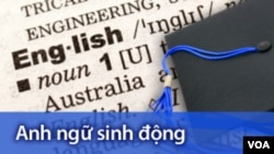 Dynamic English Program Graphic