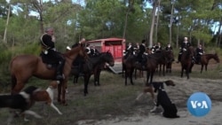 Debate over Hunting in France Points to Changing Culture and Identity