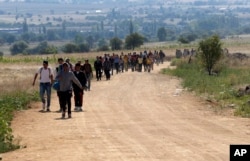 Migrants walk from the Macedonian border into Serbia, near the village of Miratovac, Serbia, Aug. 24, 2015.