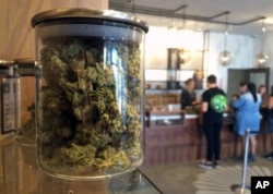 FILE - Customers buy products at the Harvest Medical Marijuana Dispensary in San Francisco, April 20, 2016. On Tuesday, the state's voters will decide whether to legalize the drug's recreational use.