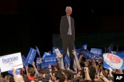 Supporters display a cardboard cutout of Democratic presidential candidate, Sen. Bernie Sanders, I-Vt., at a campaign rally in Miami, Florida, March 8, 2016.