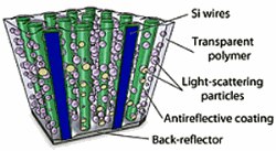 Schematic diagram of the light-trapping elements used to optimize absorption within a polymer-embedded silicon wire array