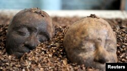 Two heads are better than one ... especially when they are made of chocolate! These sculptures were part of the 2014 Brussels Chocolate Festival, not the study. But they are very cool!