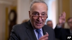 Лідер більшості в Сенаті Чак Шумер