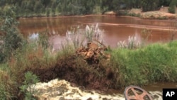 All form of life of life has disappeared in this contaminated lake near Randfontein, about 45 kilometers outside Johannesburg, South Africa, January 2012.