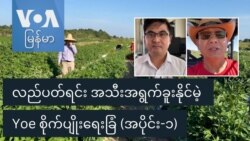 လည်ပတ်ရင်း အသီးအရွက်ခူးနိုင်မဲ့ Yoe စိုက်ပျိုးရေးခြံ (အပိုင်း-၁)