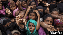 ফাইল ফটো 