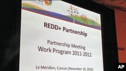 Climate Change Conference Begins in Mexico