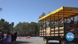 Nothing Says Halloween Like a Pumpkin Patch