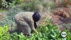 Kurdish woman works to revive abandoned hometown 