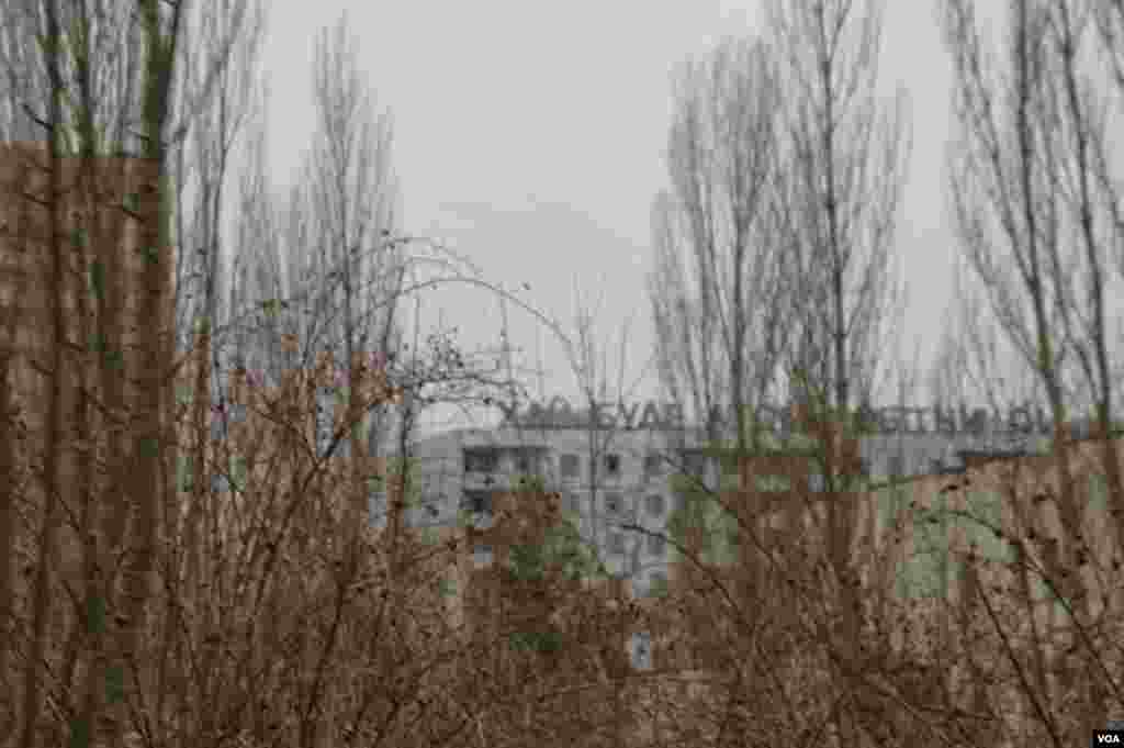 Nature has taken back most of the villages inside the exclusion zone, in Pripyat, Ukraine, March 19, 2014. (Steve Herman/VOA)