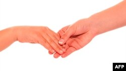 Ðóng góp từ thiện ở Mỹ gia tăng trở lại trong năm 2010