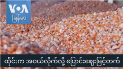 ထိုင်းက အဝယ်လိုက်လို့ ပြောင်းဈေးမြင့်တက် “လယ်ယာစီးပွားသတင်းများ”