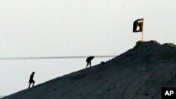 FILE - Militants with the Islamic State group are seen after placing their group's flag on a hilltop at the eastern side of the town of Kobani, Syria. 