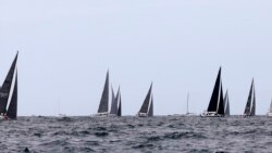 中国选手参加著名的悉尼霍巴特帆船赛