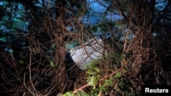 The fuselage plug area of Alaska Airlines Flight 1282 Boeing 737-9 MAX, which was jettisoned and forced the aircraft to make an emergency landing, is seen at a property where it was recovered in Portland, Oregon, Jan. 8, 2024.