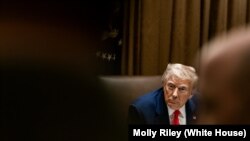 دوناد ترامپ، رئیس جمهوری آمریکا