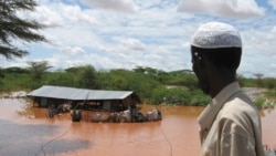 Jijjiiramni Qilleensaa Dhibee Busaa Irratti Dhiibbaa Akka Qabaatu Ibsame; Kutaa 2ffaa