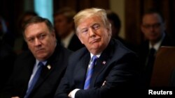 پیشتر آقای پمپئو اعلام کرده بود قصد دارد به پیونگ یانگ سفر کند. 