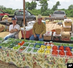 After the boll weevil destroyed the cotton crop, farmers diversified, deciding never to rely on just one crop.