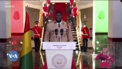 Guinee fanga sinamaton nyema, Cellou Dalein Diallo ka weeleda