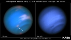A dark vortex was spotted on Neptune.