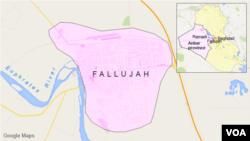 Fallujah, Iraq