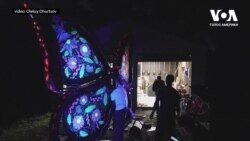 Український «Метелик» на фестивалі «Burning Man» у США. Відео