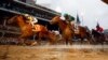 Trump Slams Kentucky Derby Outcome as 'Political Correctness'