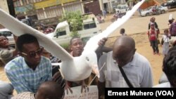 Les jeunes ont remis une colombe au maire de ville de Bukavu pour traduire leur désir de la paix durable dans les pays des grands lacs, le 10 décembre 2016. (VOA/Ernest Muhero)