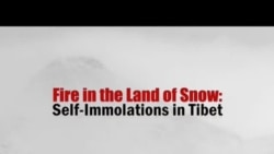 Lửa trong Vùng đất của Tuyết: Các vụ tự thiêu ở Tây Tạng (Trailer)