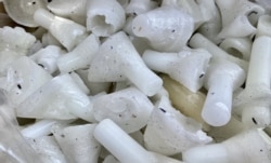 黄国才与童装店Chickeeduck合作，六四当晚在天后及荃湾分店派发他制作的”烛光有罪” (美国之音/汤惠芸)